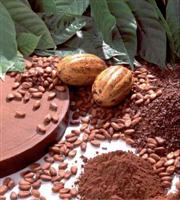 Банный Косметический Ингредиент - Абсолют какао