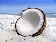 Банный Косметический Ингредиент - Сушеный кокос